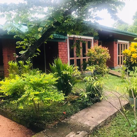 Sunshine Resort & Spa Sigiriya Exterior foto