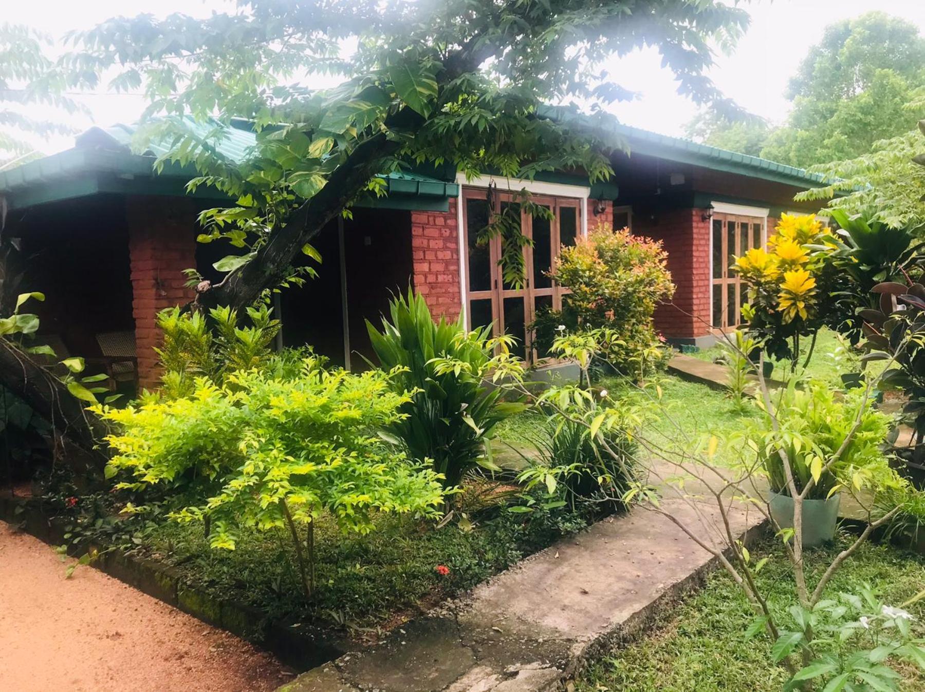 Sunshine Resort & Spa Sigiriya Exterior foto