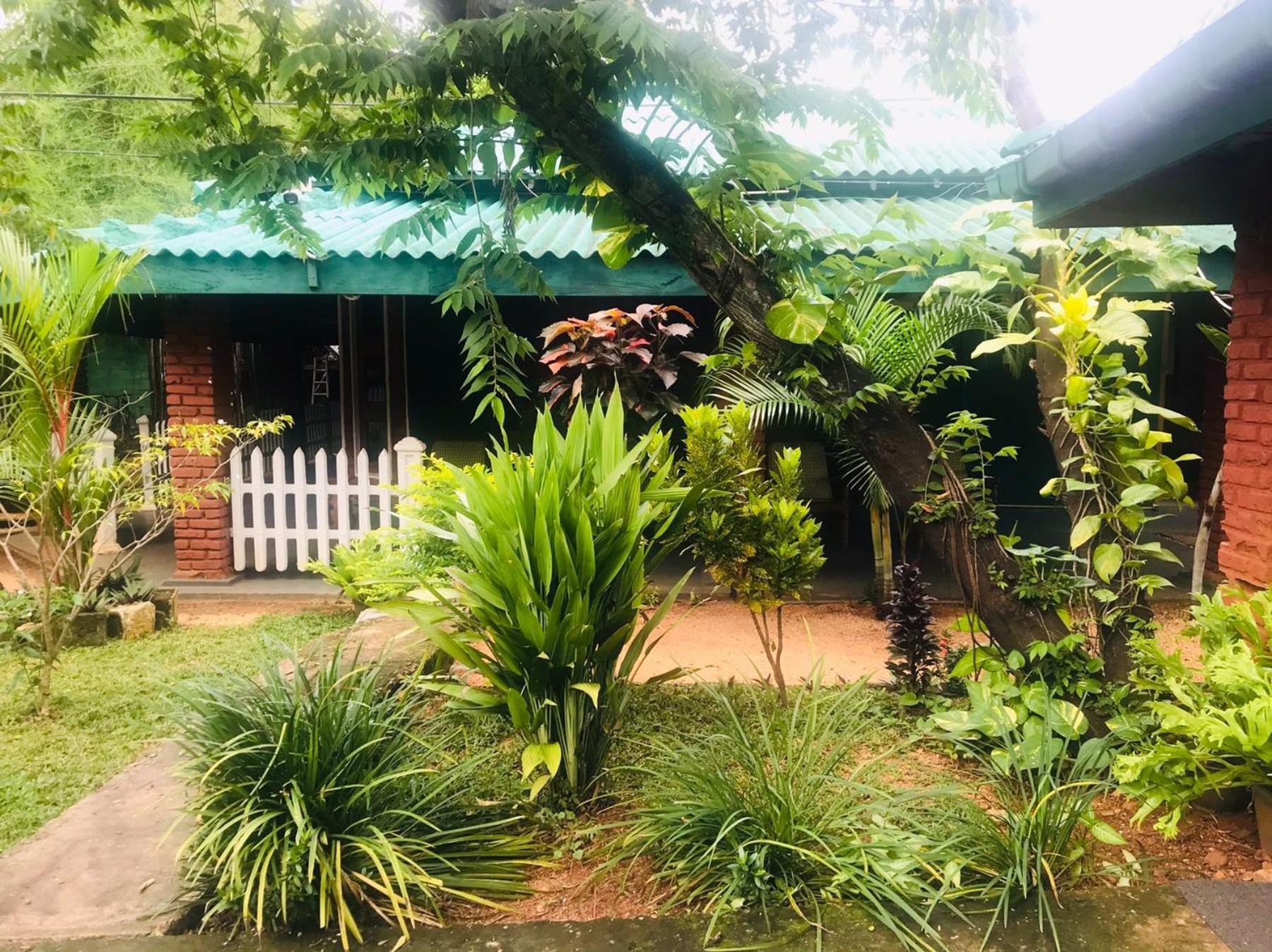 Sunshine Resort & Spa Sigiriya Exterior foto