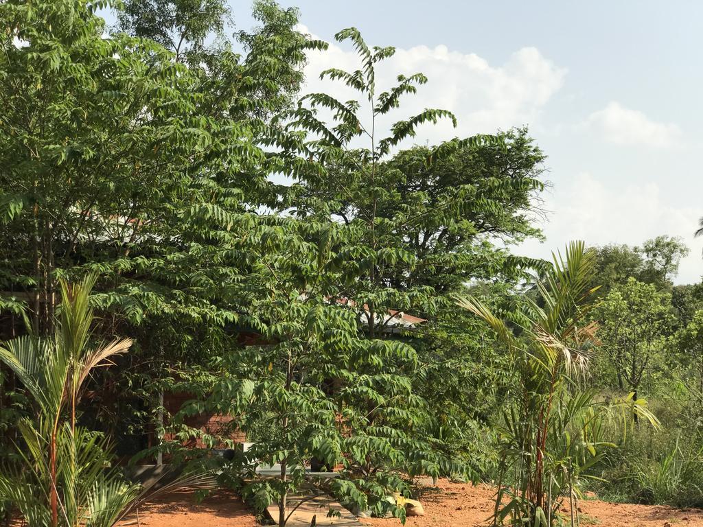 Sunshine Resort & Spa Sigiriya Exterior foto