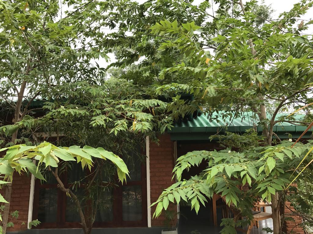 Sunshine Resort & Spa Sigiriya Exterior foto