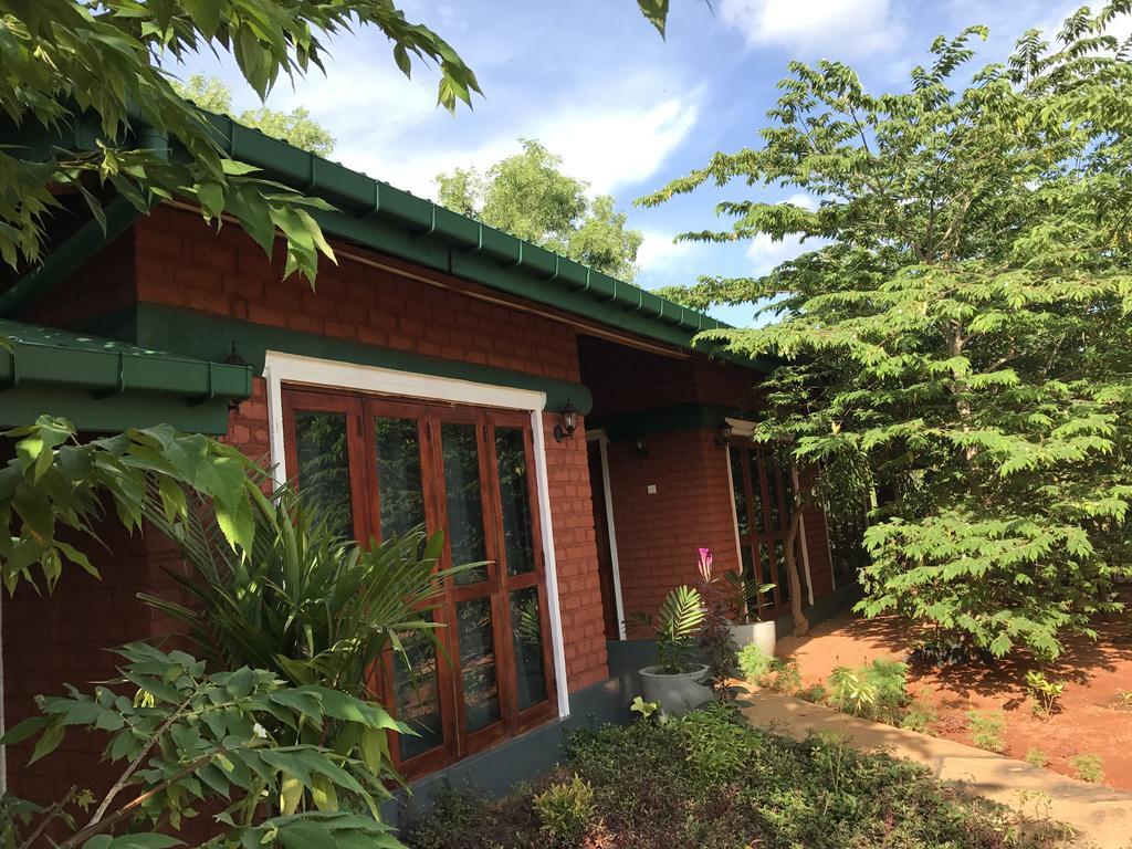 Sunshine Resort & Spa Sigiriya Exterior foto
